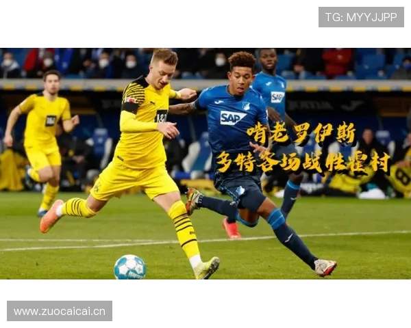 德甲球队新援名单 德甲球队新援名单